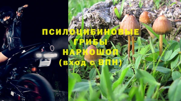прущая мука Арсеньев